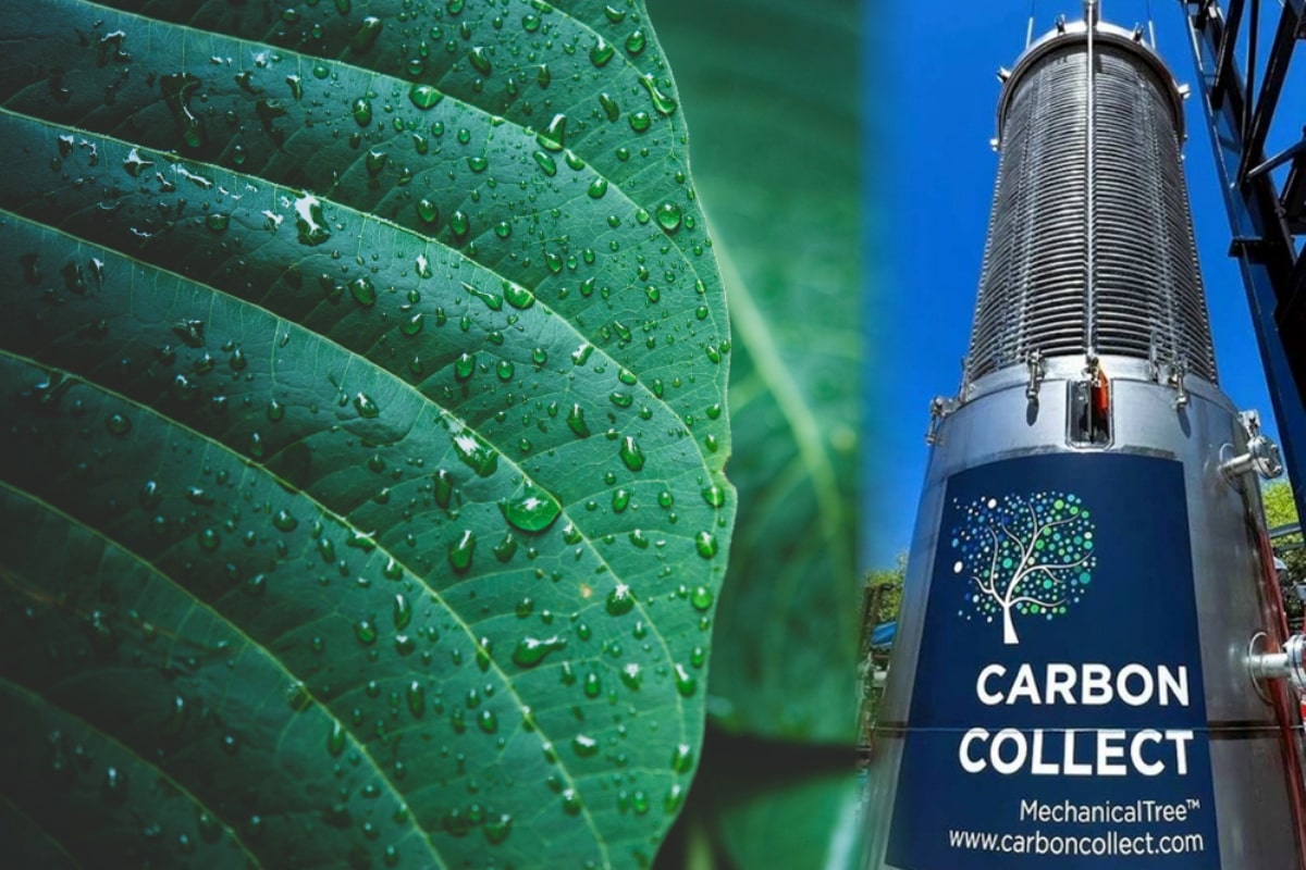 CREAN ÁRBOL ARTIFICIAL CAPAZ DE PROCESAR HASTA MIL VECES MÁS DIÓXIDO DE